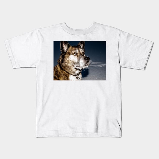 Balto Kids T-Shirt by RonniHauks